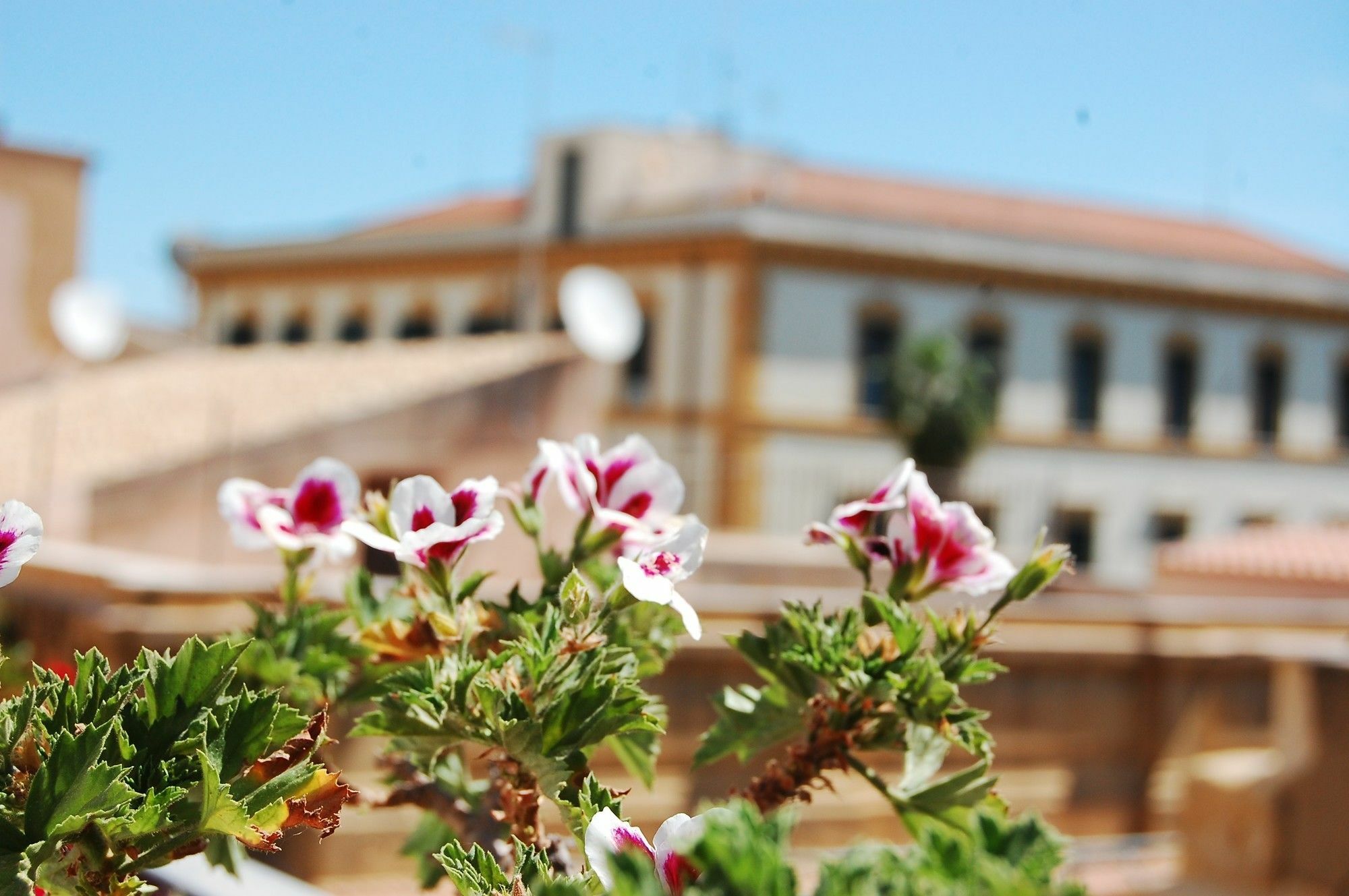 Portatenea - Atenea Collection Agrigento Buitenkant foto
